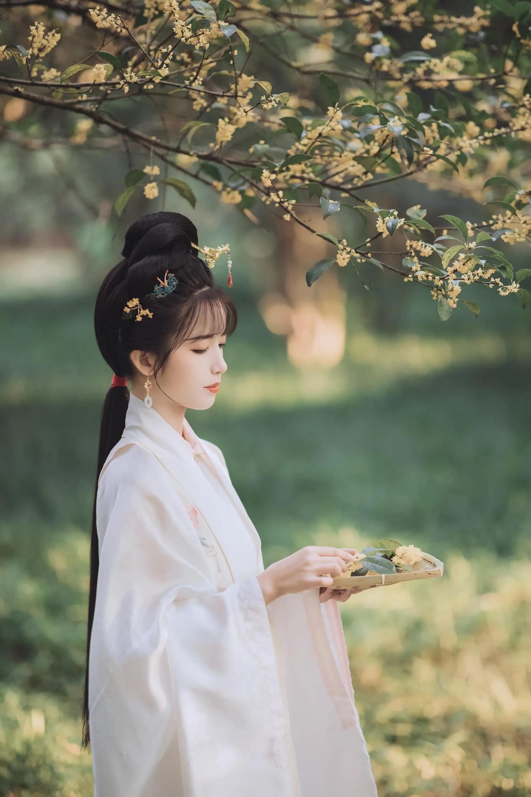 [YITUYU艺图语]2021.11.22 桂花酿 一只阿梦崽 [36P]插图